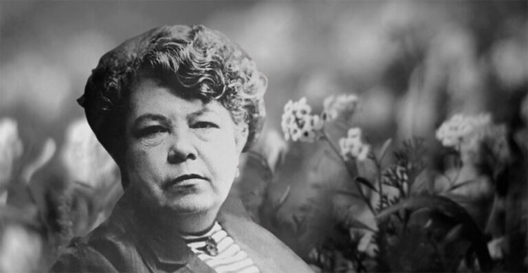 La primera médica mexicana: Matilde Montoya ✨